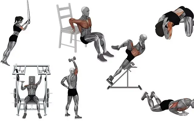 5,000+ Gym & Fitness Animated Videos